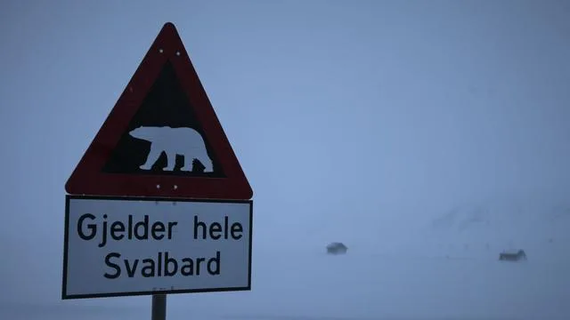 Polar Bear Hunting in Spitzbergen: A Danger to Tourists