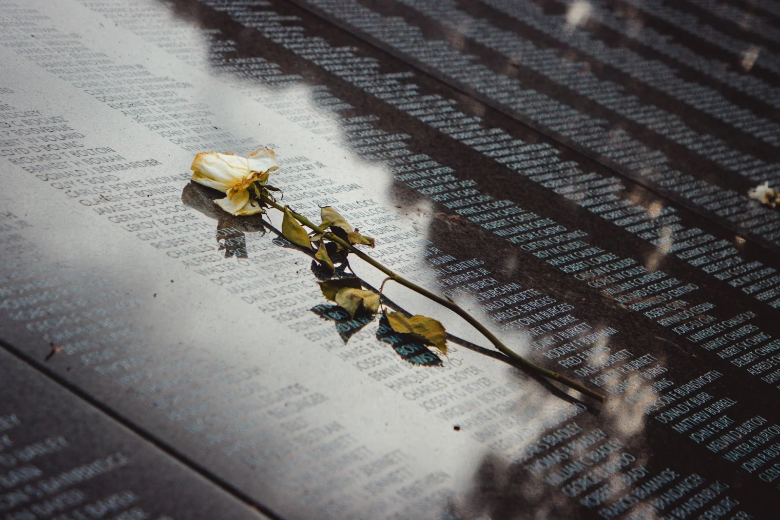 Why Five Key Points Should Be Highlighted on Flood Memorial Day?