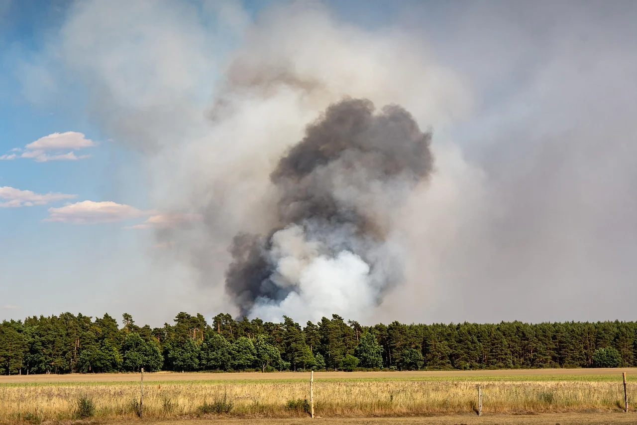 Fire Warning in Bavaria; Temperatures to Reach 35 Degrees!